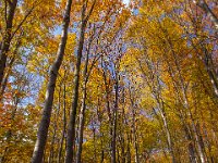Beskid Niski